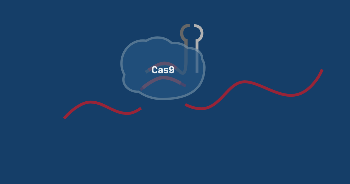 CRISPR-Cas9 Function