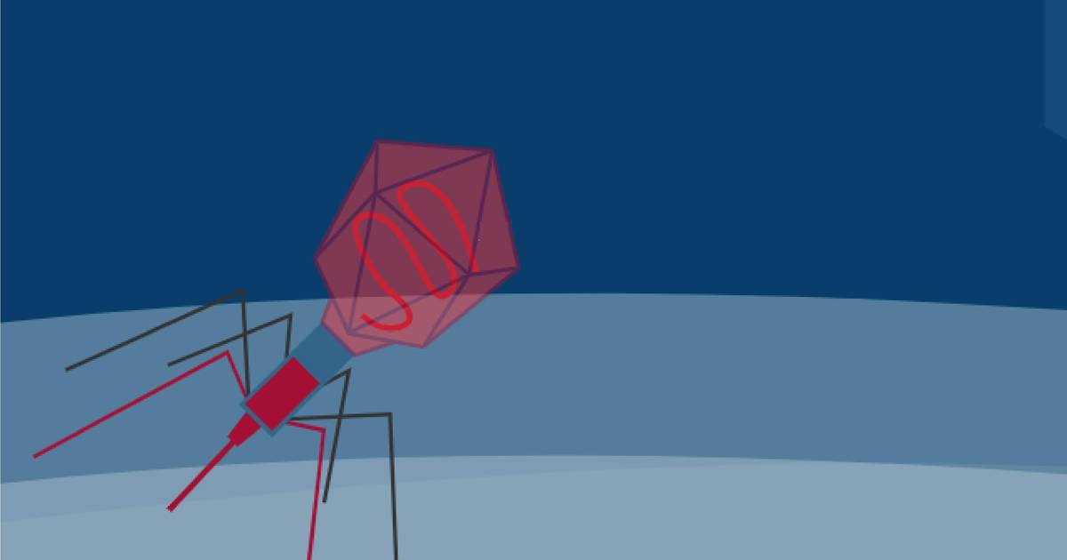 CRISPR as a Bacterial Defense System