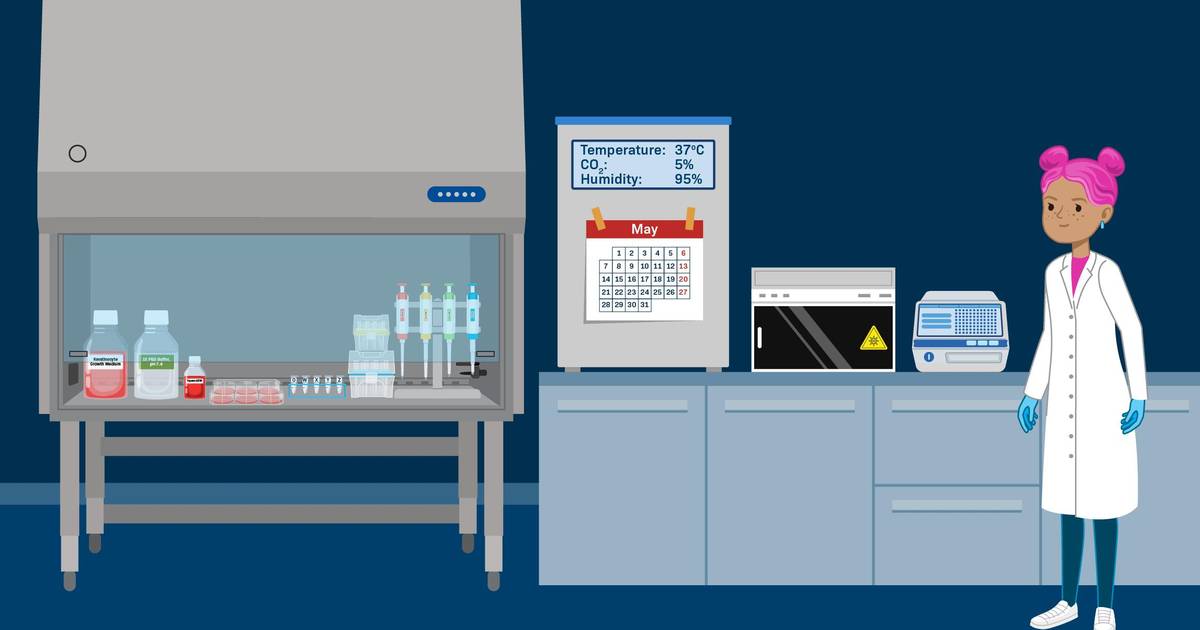 Advancing Research Through Experimentation
