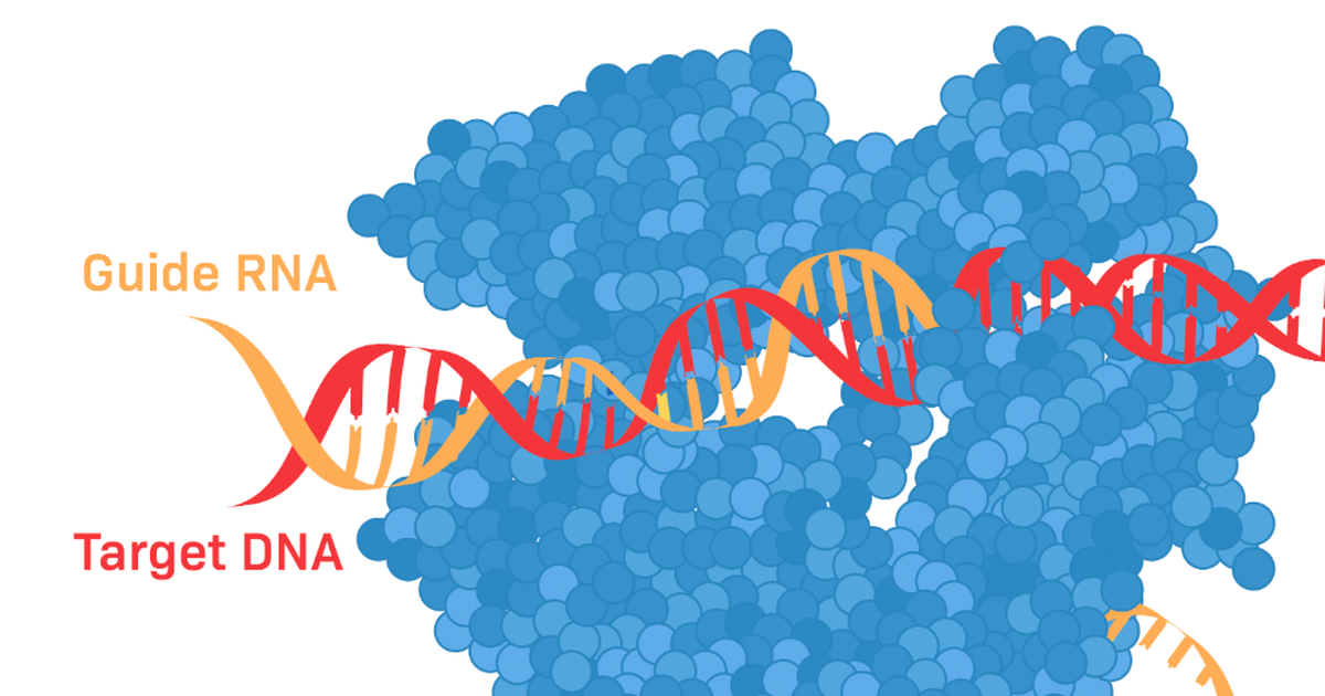 Introduction to Genome Editing with CRISPR-Cas9
