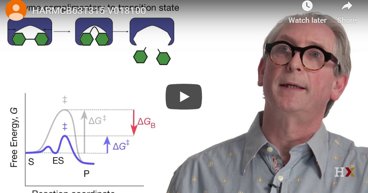 Catalytic Nature of Enzymes