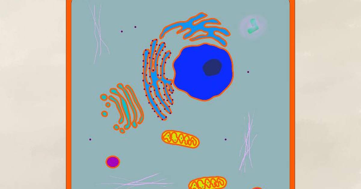 Cell Structure
