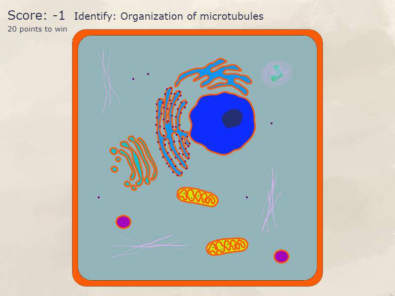 Cell Structure