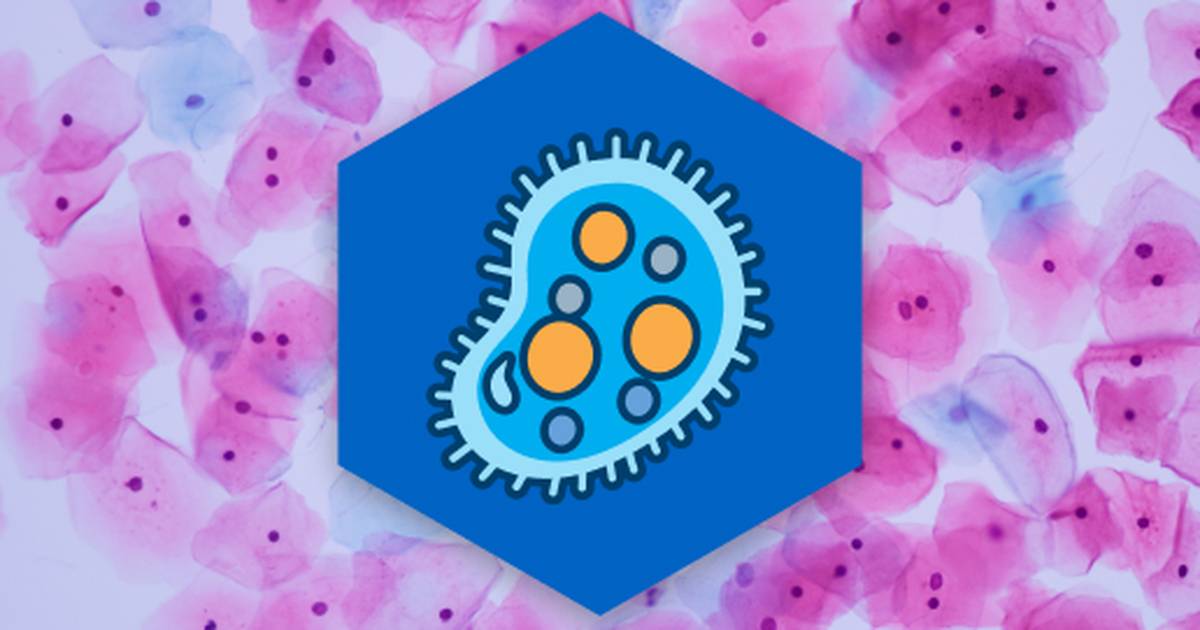 Cells