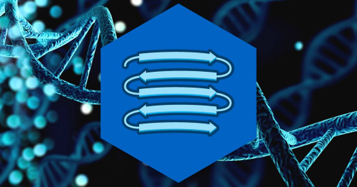 Central Dogma