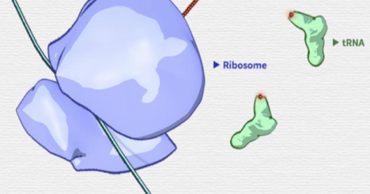 Central Dogma and Genetic Medicine