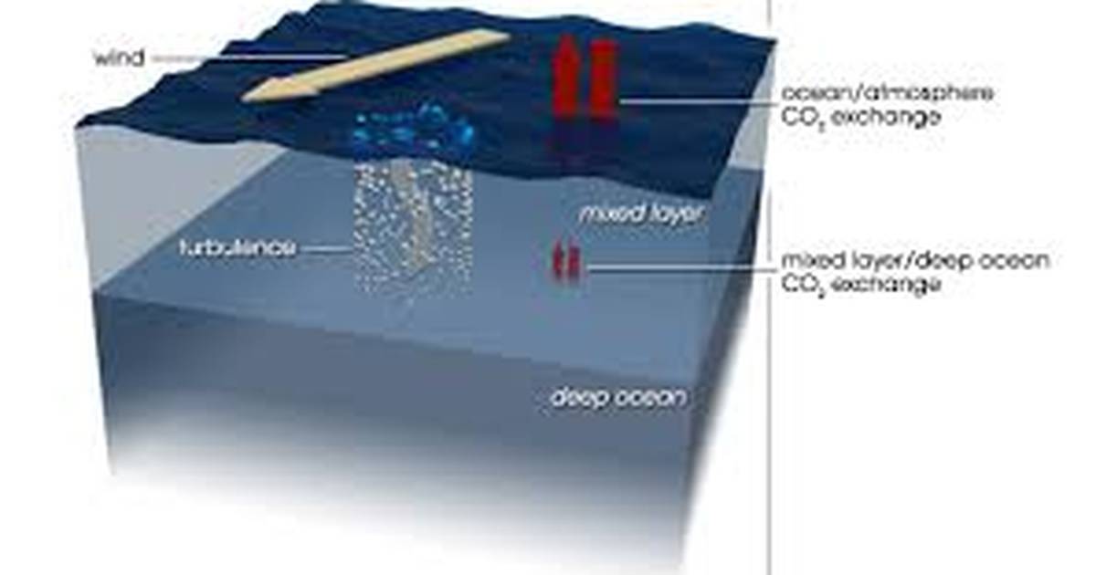 Closing the Carbon Cycle at Subduction Zones