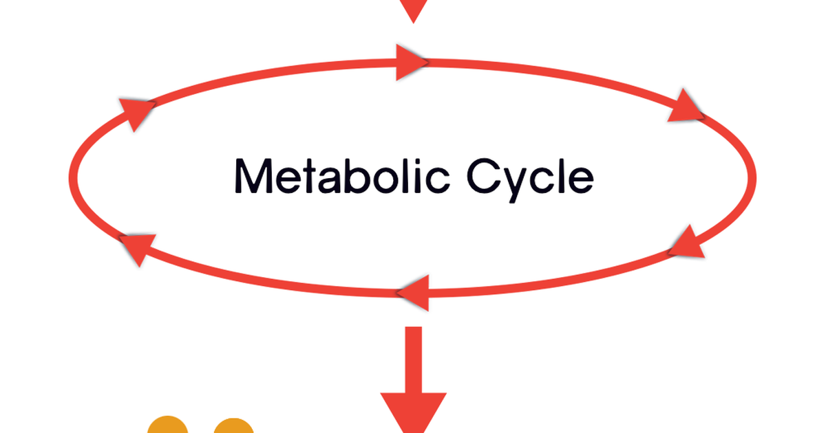 Metabolism First as Evidence of Evolution