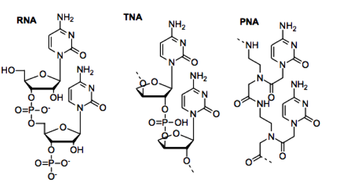Pre-RNA World Hypothesis