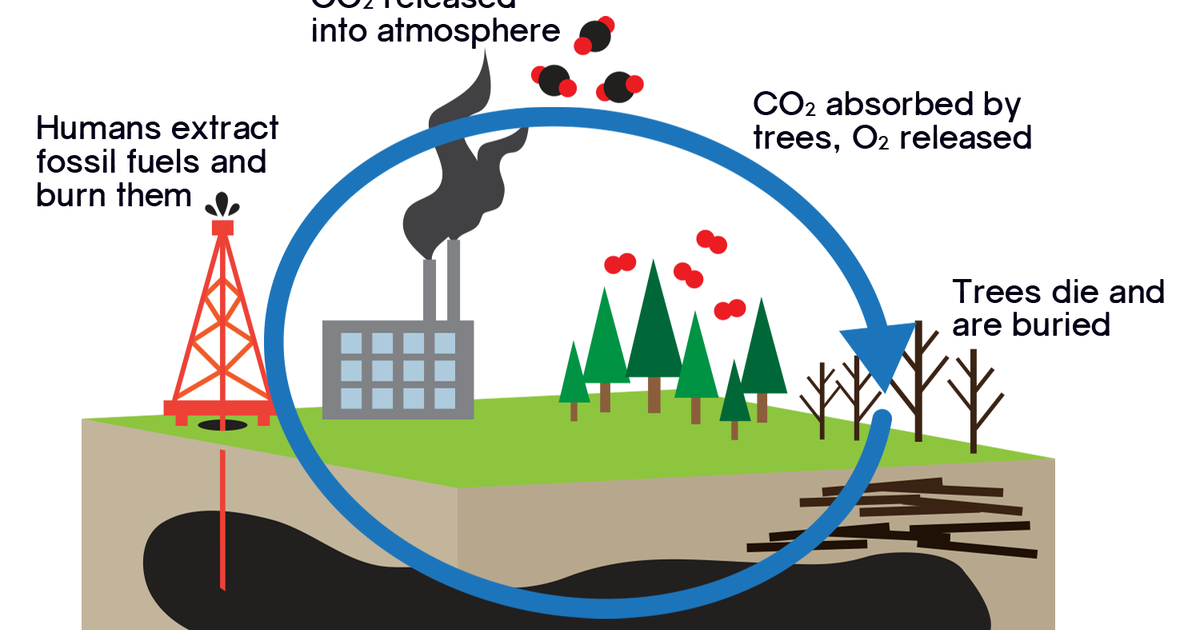 Biology Driving Climate