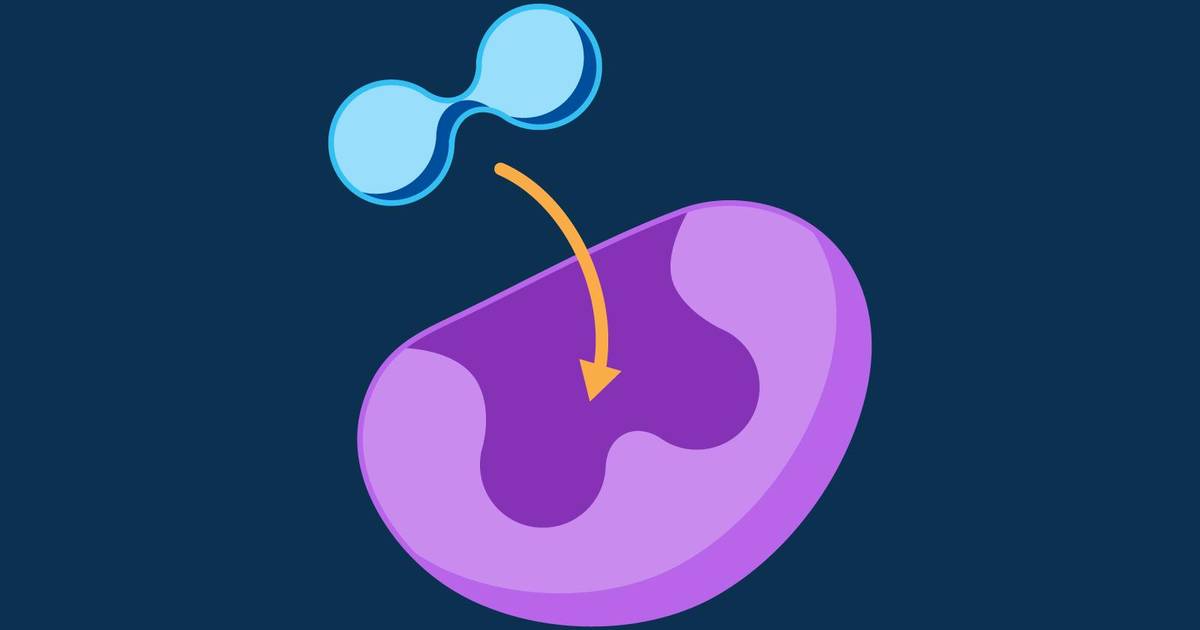 Enzymes