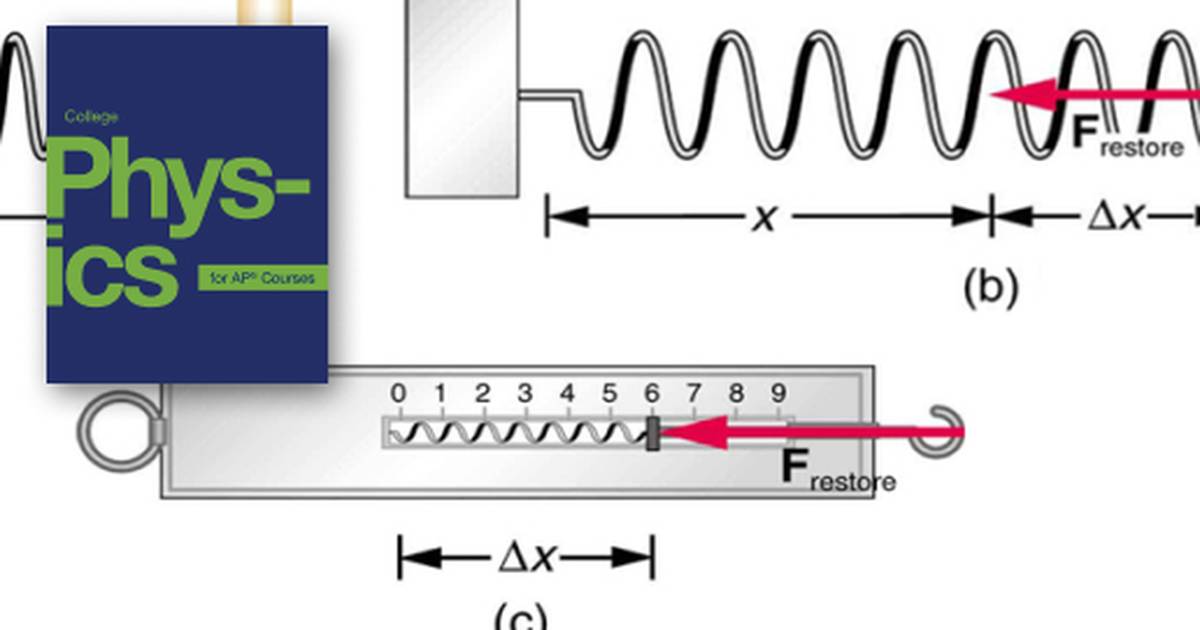 Development of Force Concept