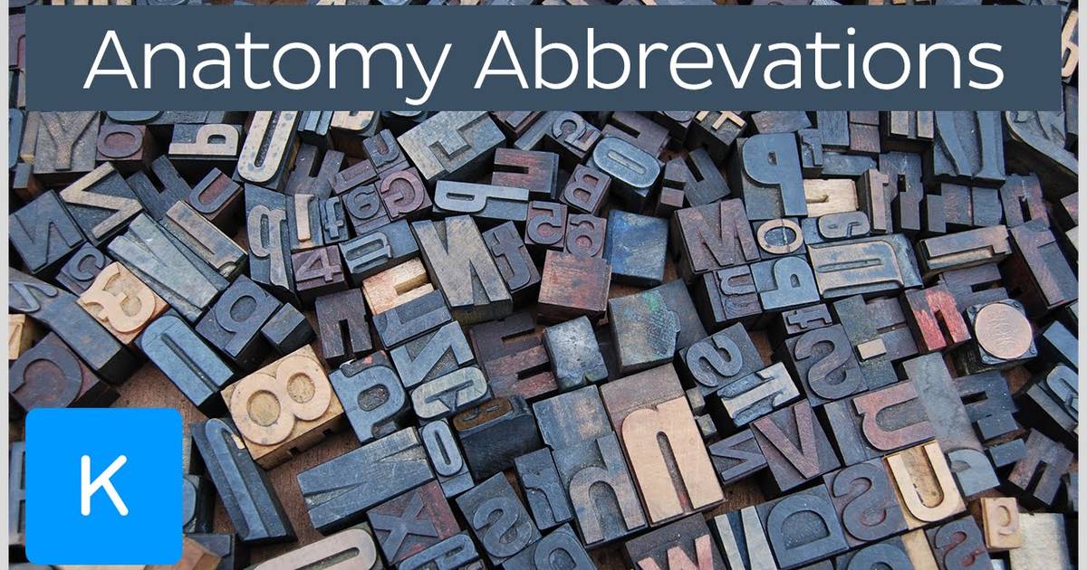 Common Anatomy Abbreviations