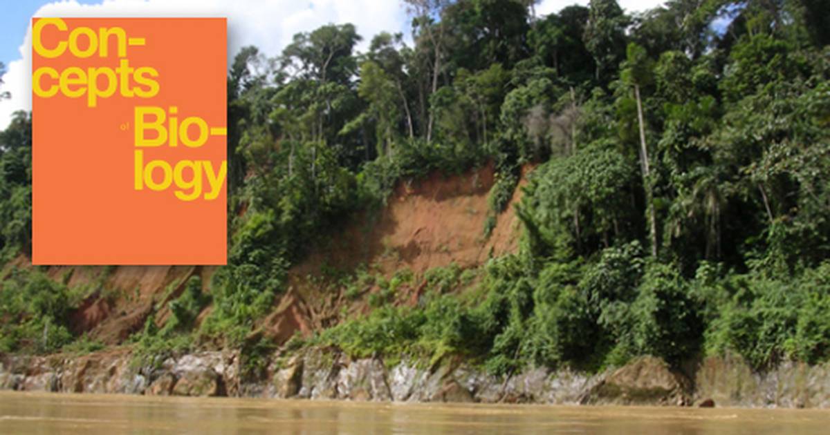 Terrestrial Biomes