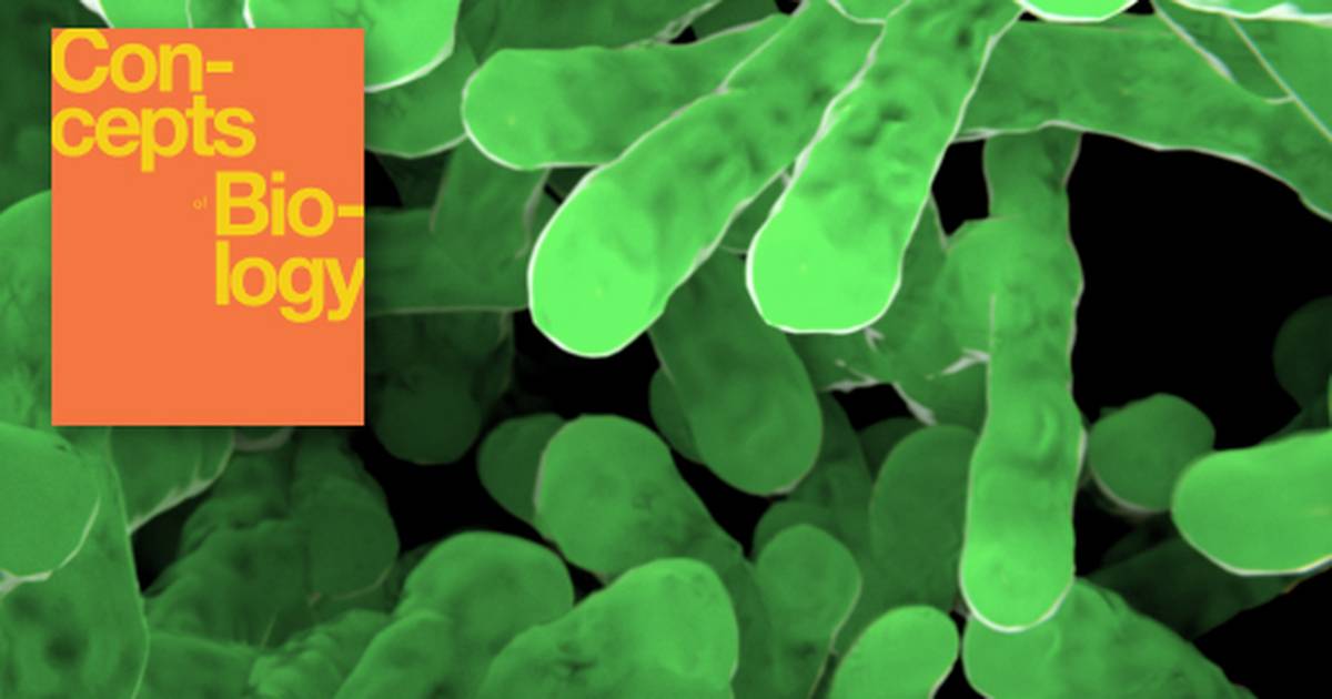 Summary of Biotechnology