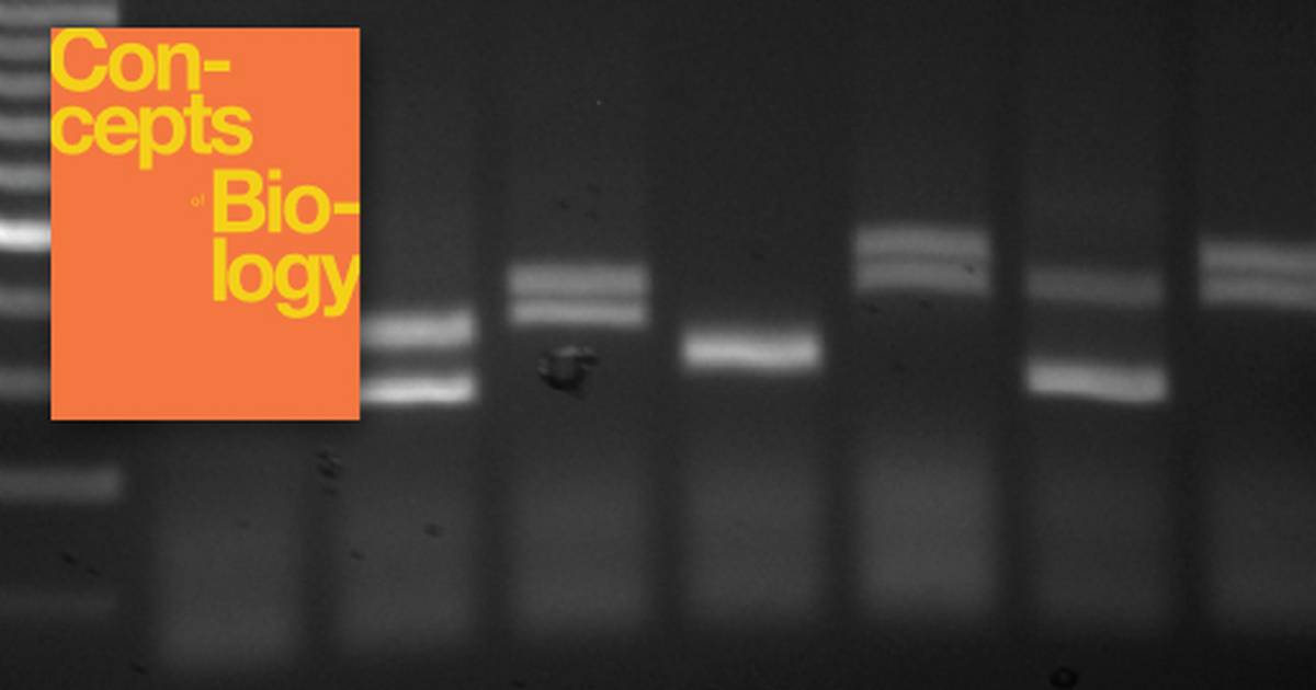 Cloning and Genetic Engineering