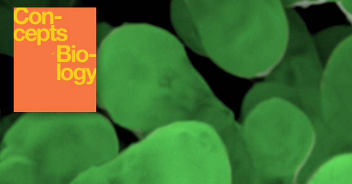 Key Terms Related to Biotechnology