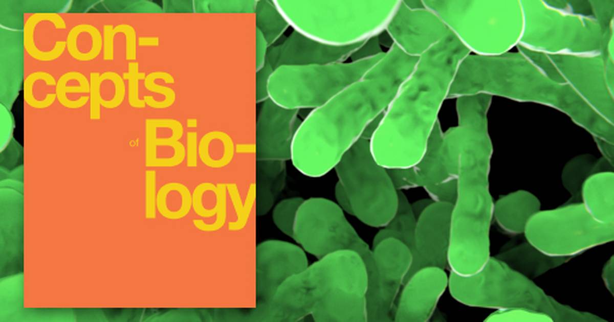 Biotechnology