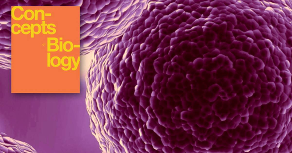 Key Terms Related to Cell Structure and Function