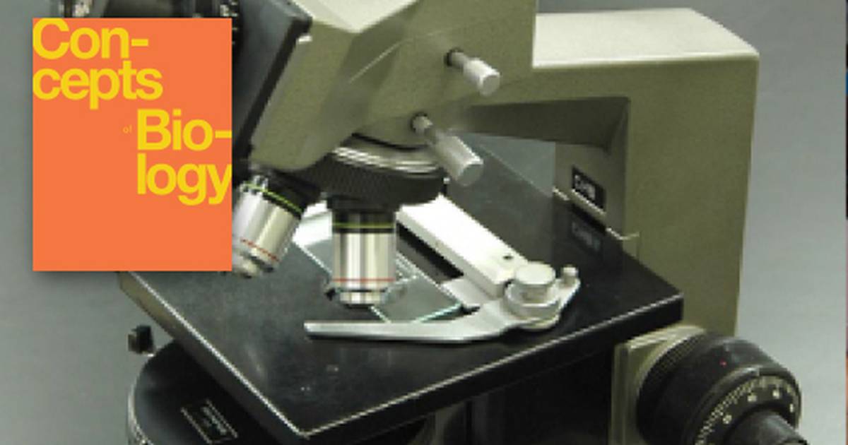 How Cells Are Studied