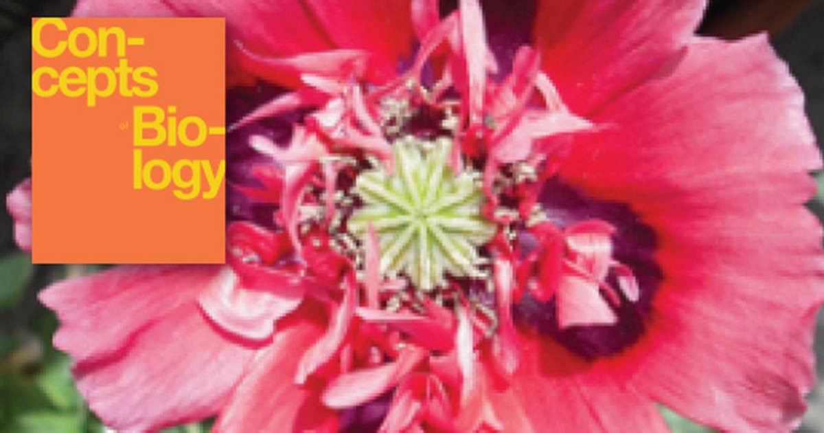 Introduction to the Diversity of Plants