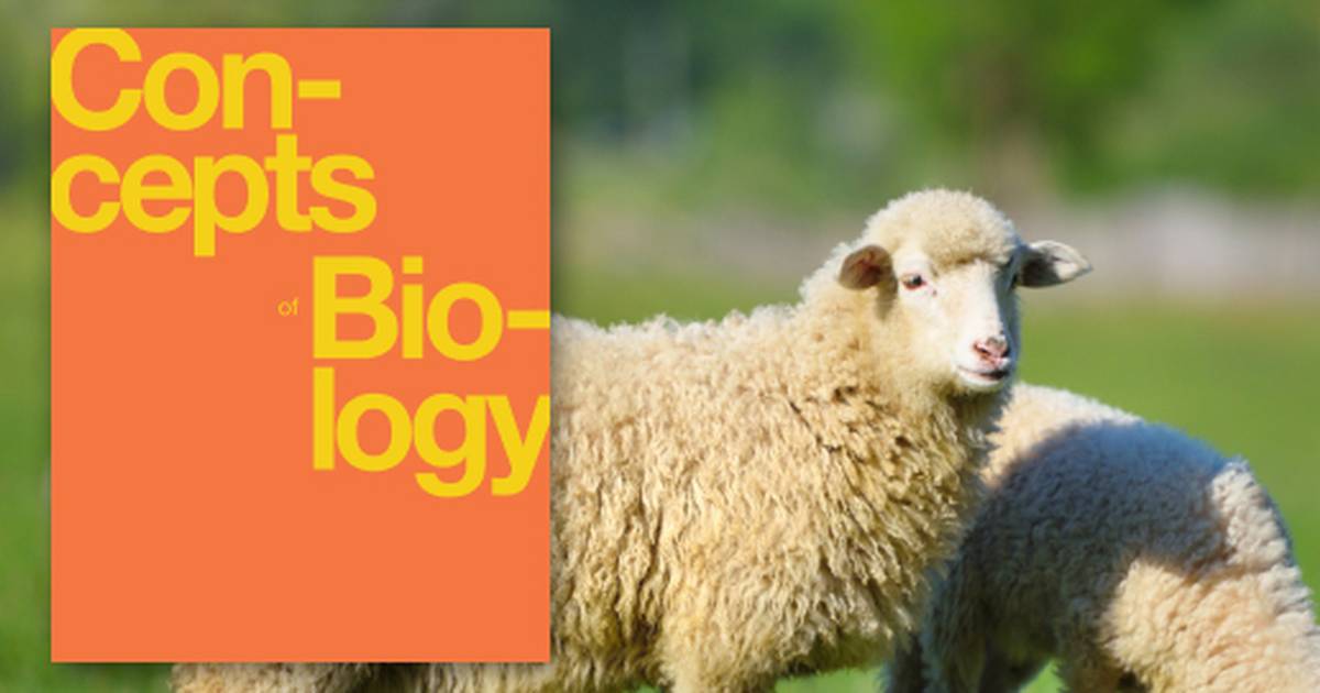 Molecular Biology