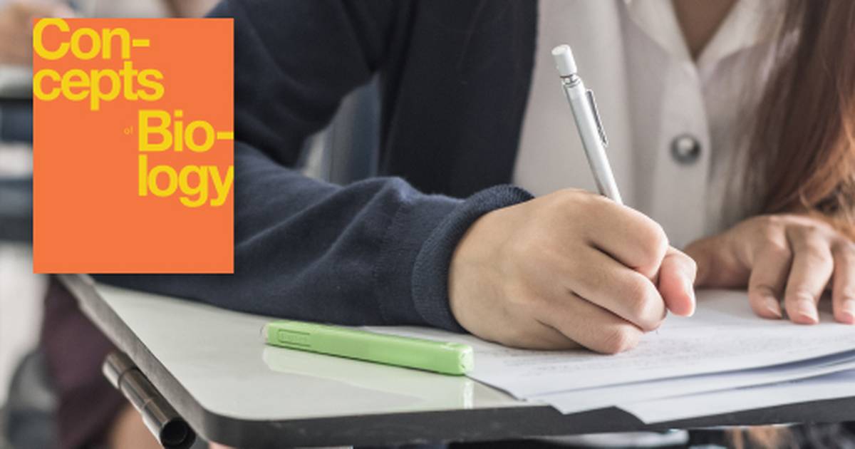 Review Questions Related to the Body's Systems