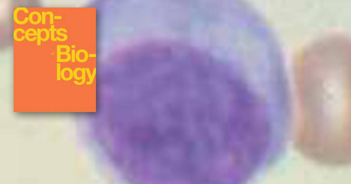Innate Immunity