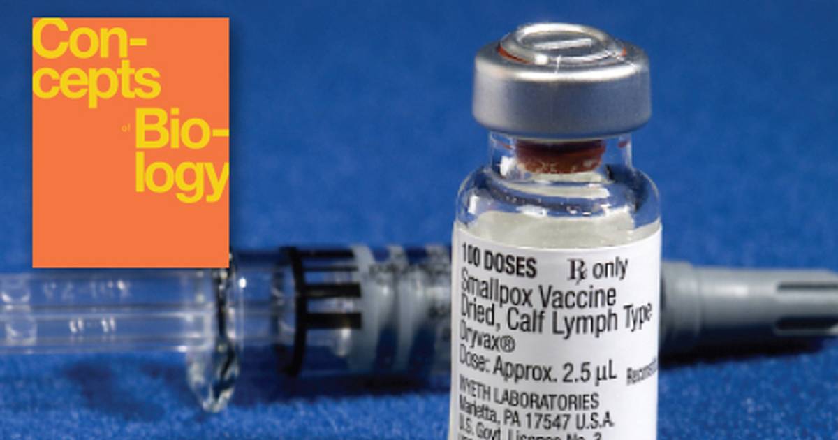 Introduction to the Immune System and Disease