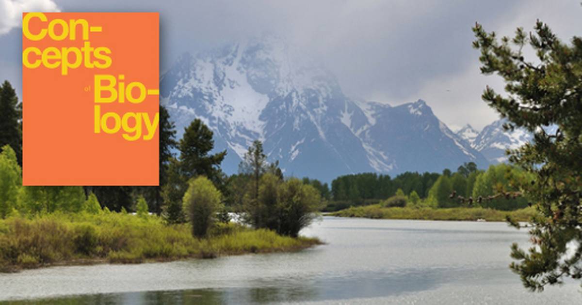 Preserving Biodiversity