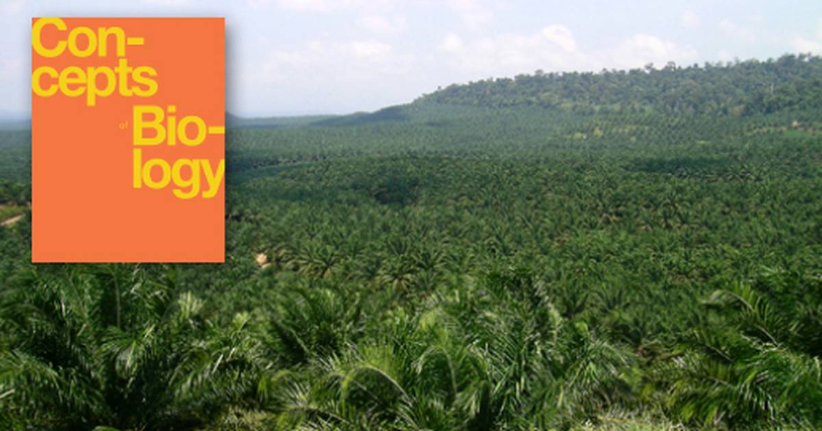 Threats to Biodiversity