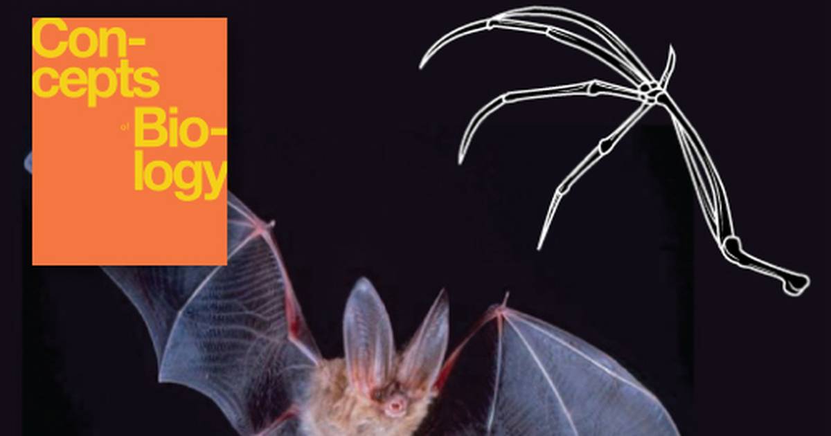 Determining Evolutionary Relationships