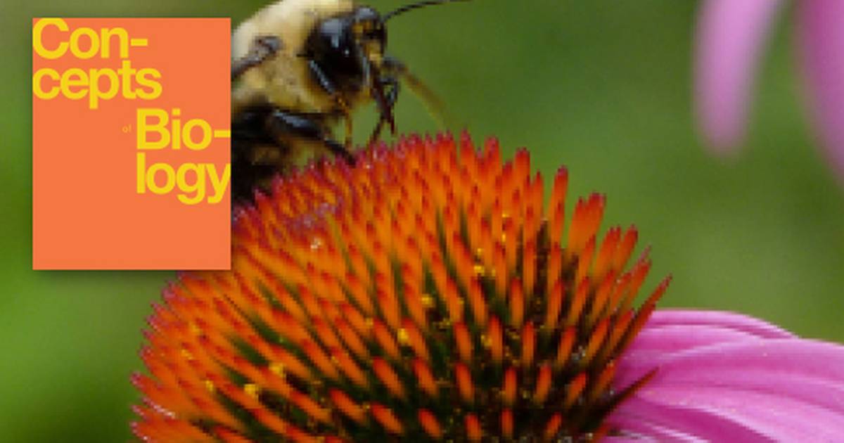 Introduction to the Diversity of Life