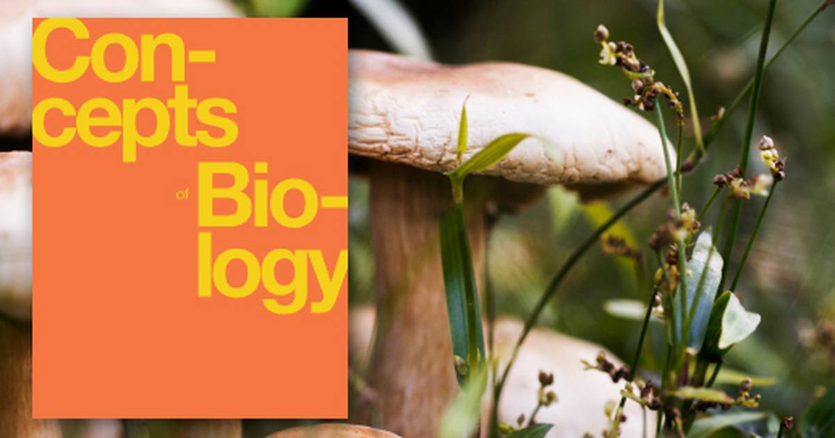 Diversity of Microbes, Fungi, and Protists