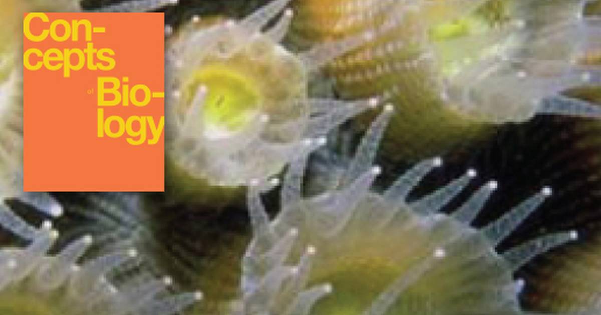 Protists