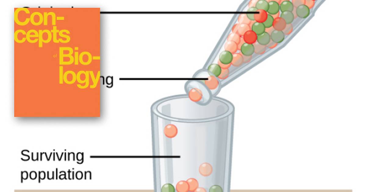 Mechanisms of Evolution