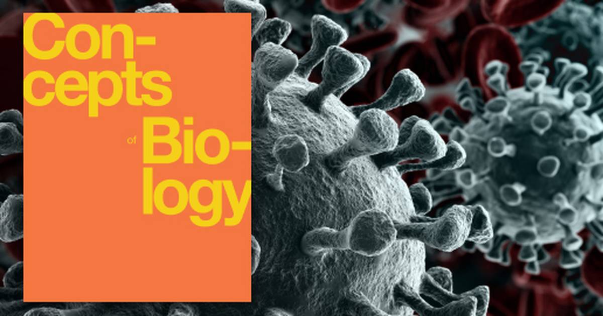 The Immune System and Disease
