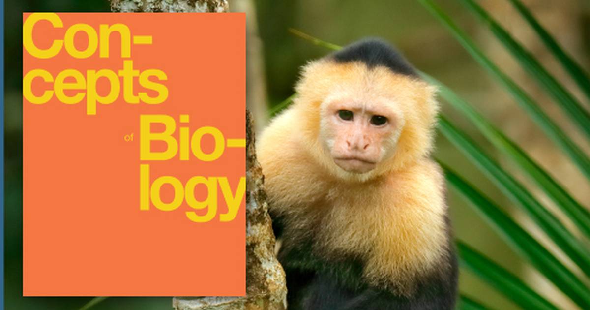 Ecosystems and the Biosphere