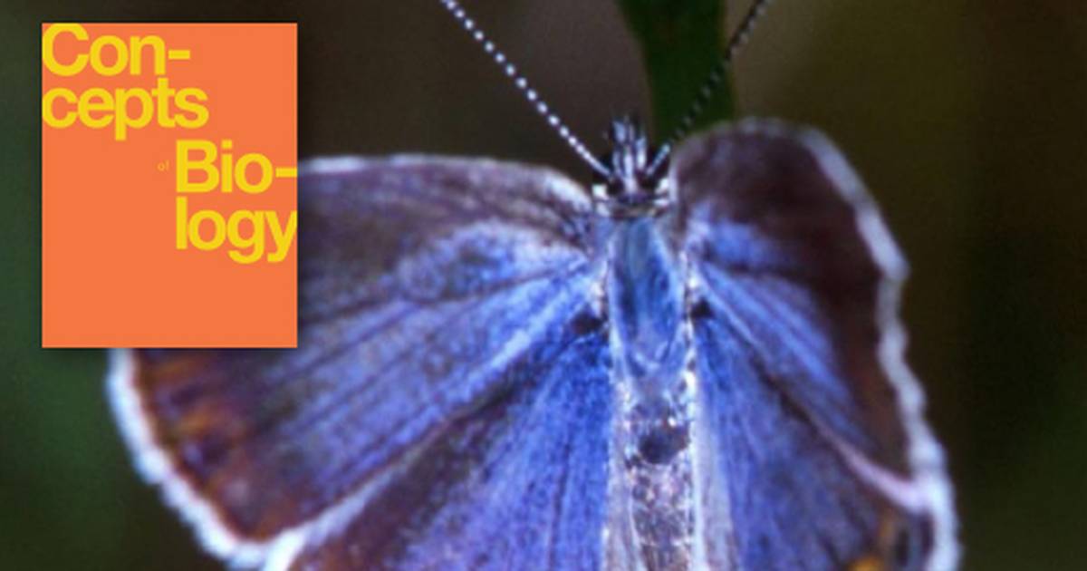 Introduction to Ecosystems and the Biosphere