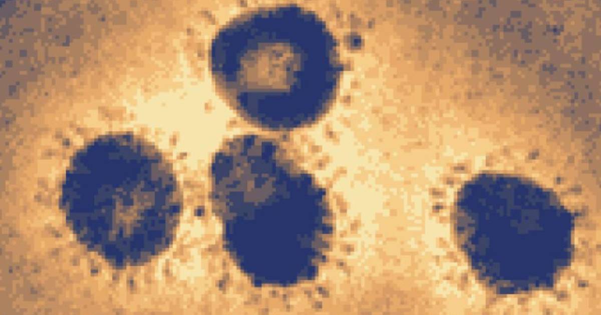 Vaccine Development