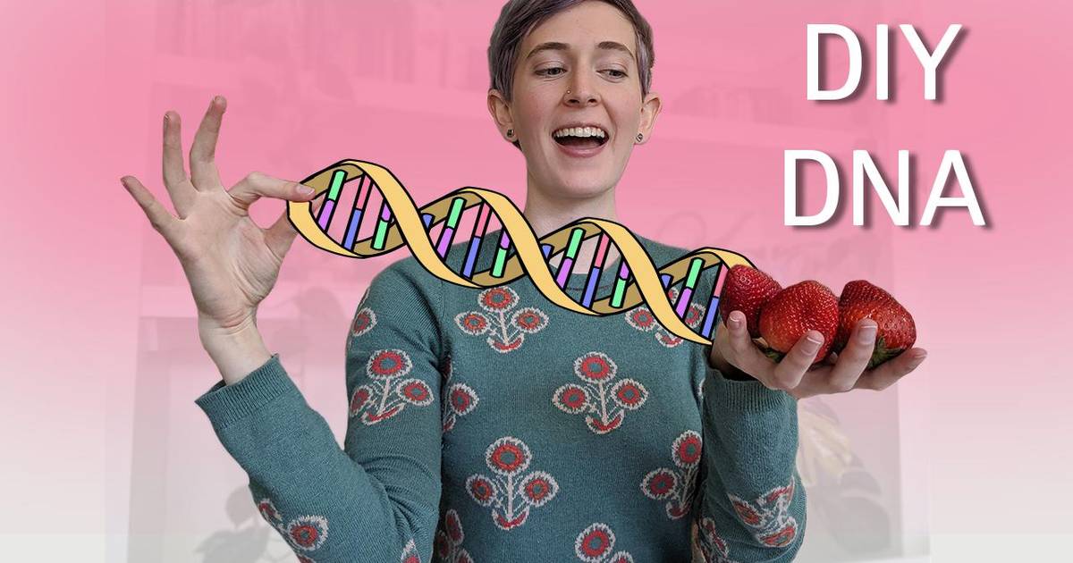 DIY DNA Extraction!