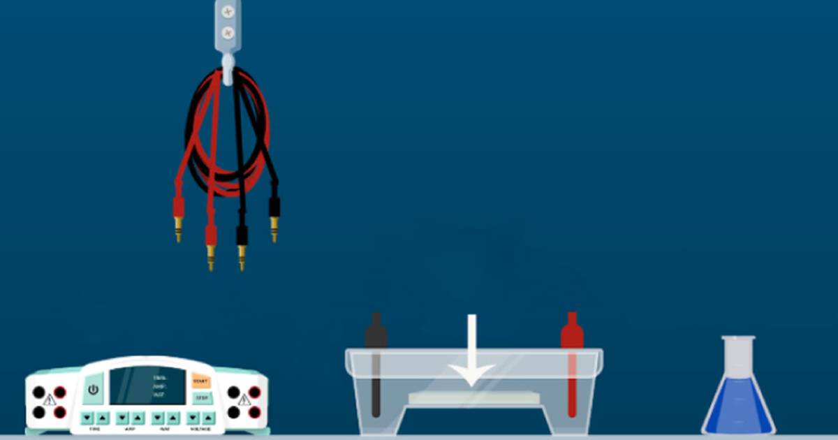 DNA Gel Electrophoresis Equipment
