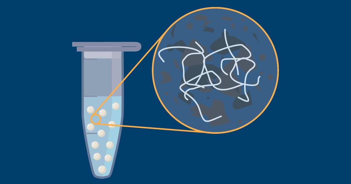 How To: Extracting DNA from Cheek Cells