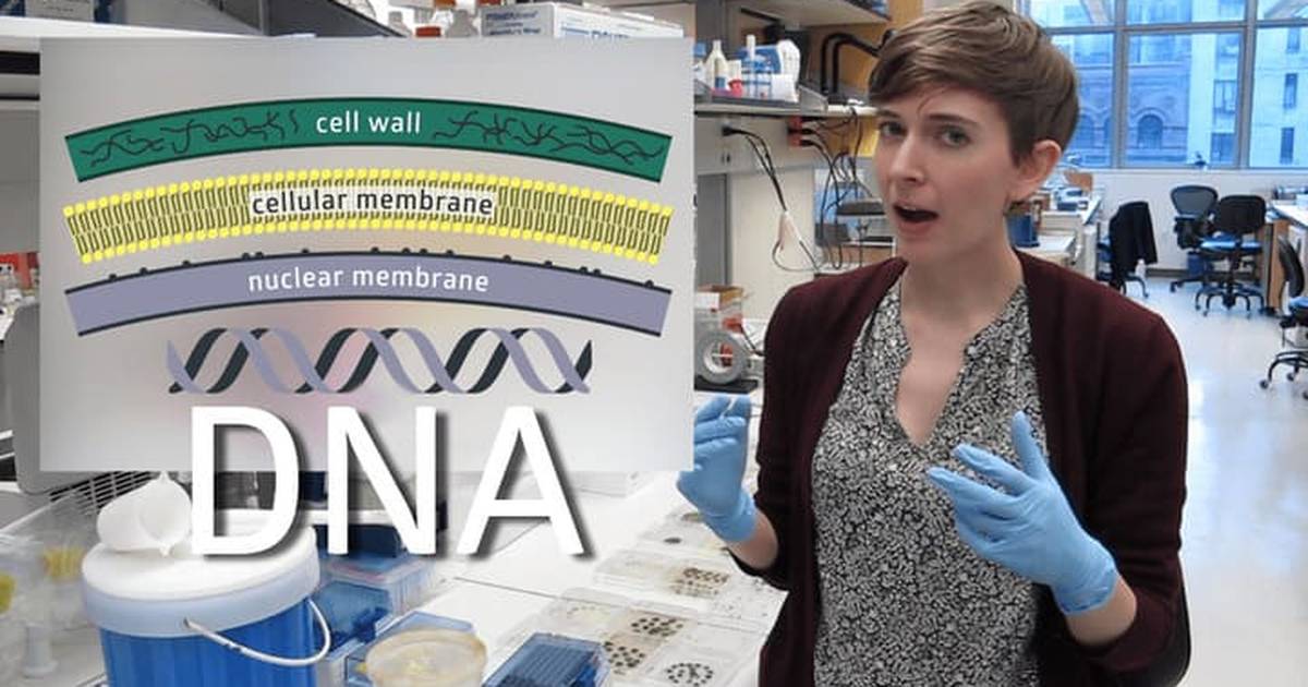 DNA!