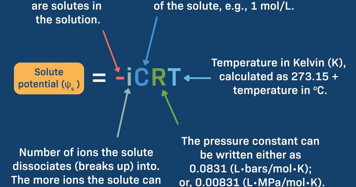 Solute Potential: The Formula