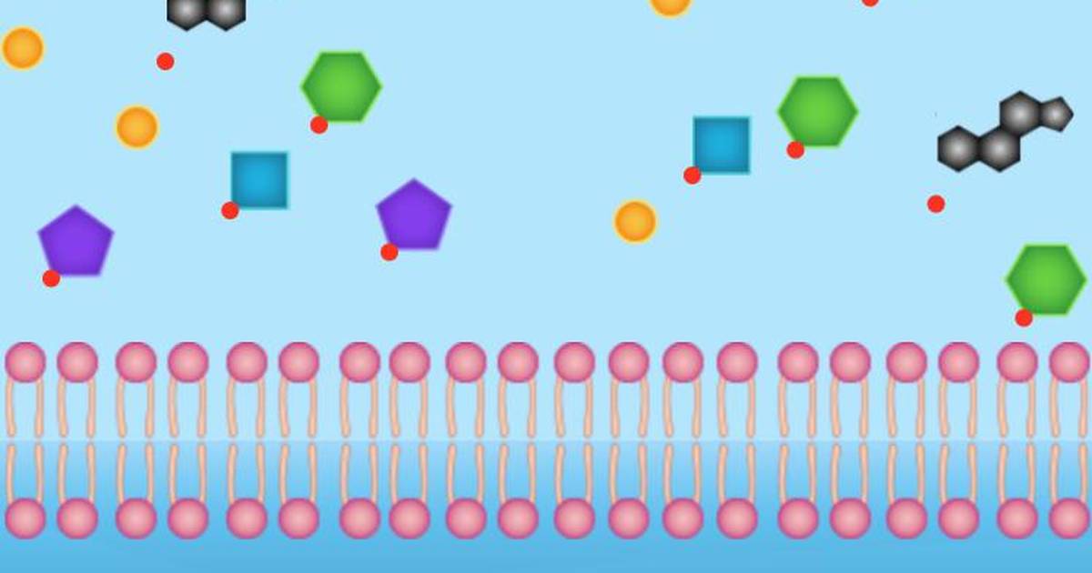 Diffusion: Getting Stuff Into Your Cells