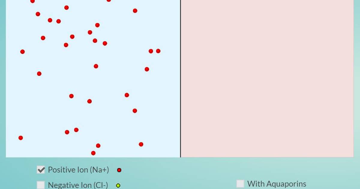 Diffusion: The Role of Aquaporins