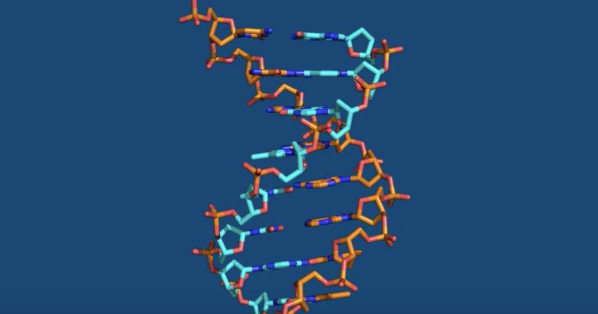 Introduction to the Double Helix (Annotated)