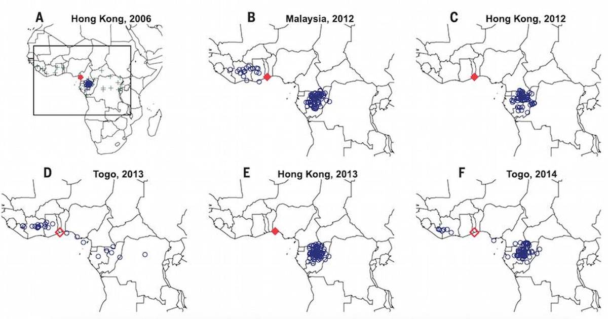 Using Genetic Evidence to Identify Ivory Poaching Hotspots