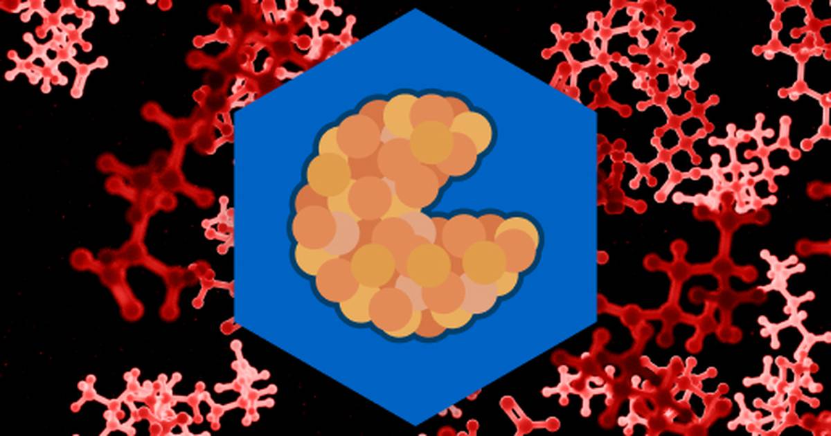 Enzymes Are Protein Catalysts